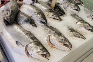 Whole salmon Cook whole salmon